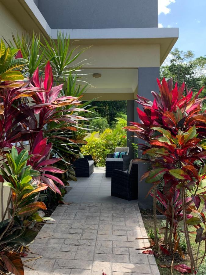 The Marina Villa De Sonja Ocho Rios Bagian luar foto